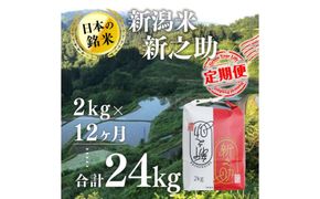 【12カ月定期便】新潟米新之助（精米）2kg お米 コメ 