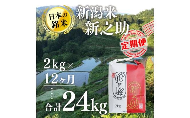 【12カ月定期便】新潟米新之助（精米）2kg お米 コメ 