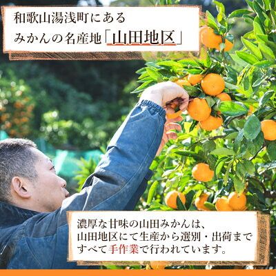 【2026年先行予約】山田みかん約9kg（2Lサイズ）_AM6005