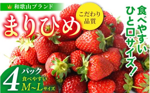 【先行予約】まりひめイチゴ4パック 食べやすいひと口サイズ M～L（15粒～20粒入×4パック）【2027年1月中旬～3月下旬頃に順次発送】（お届け日指定不可）/ いちご 苺 まりひめ 和歌山 フルーツ【kgr034】