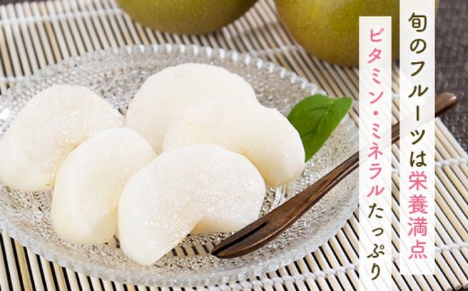 定期便 5ヶ月 果物 先行予約 シャインマスカット 梨 柿 果物 ※配送不可：離島