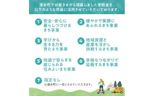 【返礼品なしの寄附】北海道清水町への寄附 応援 支援 寄付のみ 返礼品なし (1口：10,000円)_S038-0003