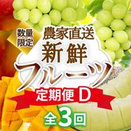【定期便3回】契約農家直送の新鮮フルーツ定期便D（フルーツ 果物 くだもの マンゴー アップルマンゴー ブドウ ぶどう メロン 定期便）