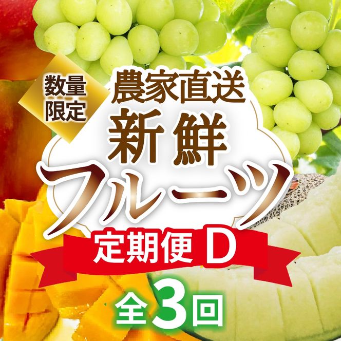 【定期便3回】契約農家直送の新鮮フルーツ定期便D（フルーツ 果物 くだもの マンゴー アップルマンゴー ブドウ ぶどう メロン 定期便）