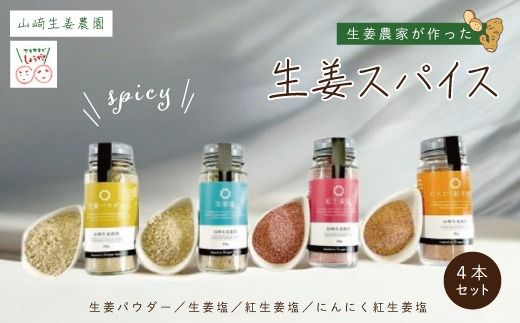 [ 山﨑生姜農園 ] 生姜農家 が作った 生姜スパイス 4本 セット 生姜塩・紅生姜塩・にんにく紅生姜塩・生姜パウダー 粉末 調味料 スパイス 塩 生姜 しょうが にんにく ニンニク 高知県 高知 四万十市 四万十 しまんと 26-328