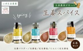 【 山﨑生姜農園 】 生姜農家 が作った 生姜スパイス 4本 セット （ 生姜塩・紅生姜塩・にんにく紅生姜塩・生姜パウダー） 粉末 パウダー 調味料 スパイス 塩 しお 生姜 しょうが ショウガ ジンジャー にんにく ニンニク 高知県 高知 四万十市 四万十 しまんと 25-328