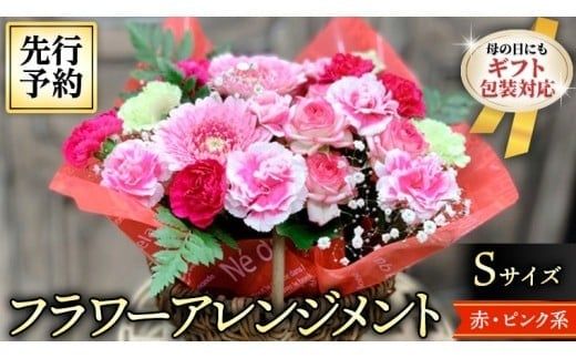 【 母の日 】 フラワー アレンジメント S 赤 ・ ピンク 系 ギフト プレゼント 花 お祝い 贈答 記念日 [CT079ci]