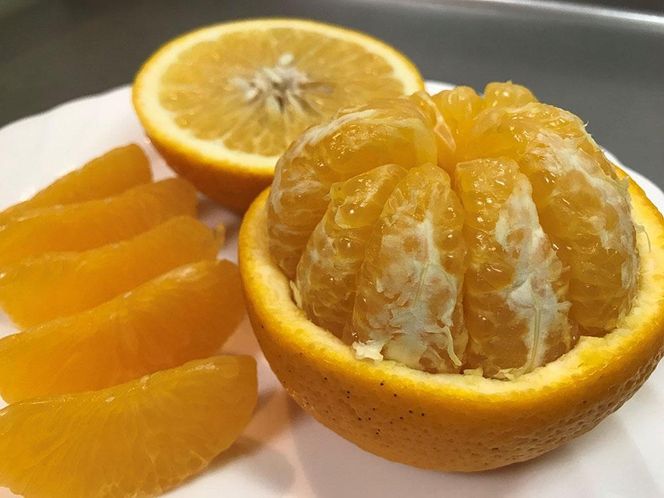 木成完熟 紅はっさく 特秀 大玉 2L × 4玉入 化粧小箱 南泰園【2027年4月上旬～発送】BS780
