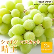 ぶどう 2026年 先行予約 シャイン マスカット 晴王 約400g×2房 ブドウ 葡萄  岡山県産 国産 フルーツ 果物 ギフト シャインマスカット 美しい 大粒 種なし 弾力 高糖度 甘い