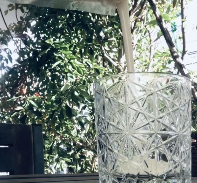 【4回定期】続ける美豆乳7袋＋たま豆腐2球 毎週発送 無調整 成分無調整 定期 朝 国産大豆 健康 タンパク質 栄養 soy milk ソイミルク 小分け 飲料 グルメ おすすめ お取り寄せ 京都 セット※北海道・沖縄・離島への配送不可