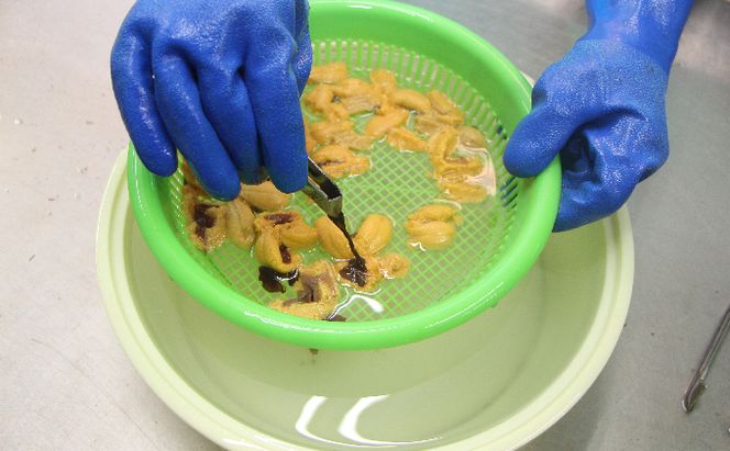 【礼文島リボンプロジェクト】北海道 礼文島産 新鮮生うに キタムラサキウニ 40g×2パック(ピンバッジ付)［野崎水産］【 うに ウニ 雲丹 生うに ムラサキウニ 自然保護 寄付 海鮮 】