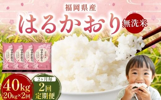 【 2ヶ月毎2回定期便 】 【 無洗米 】 はるかおり 20kg （ 5kg × 4袋 ） 計40kg お米 米 こめ コメ 白米 白飯 飯 ご飯 おにぎり 和食 国産 福岡県産 定期 定期配送