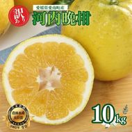 【訳あり】  河内晩柑 10kg 木取り完熟  【発送期間: 2024年８月～ なくなり次第終了】 柑橘 みかん 愛南ゴールド 蜜柑 グレープフルーツ ゼリー ジュース アイス 果物 フルーツ サイズミックス 規格外 吉本農園