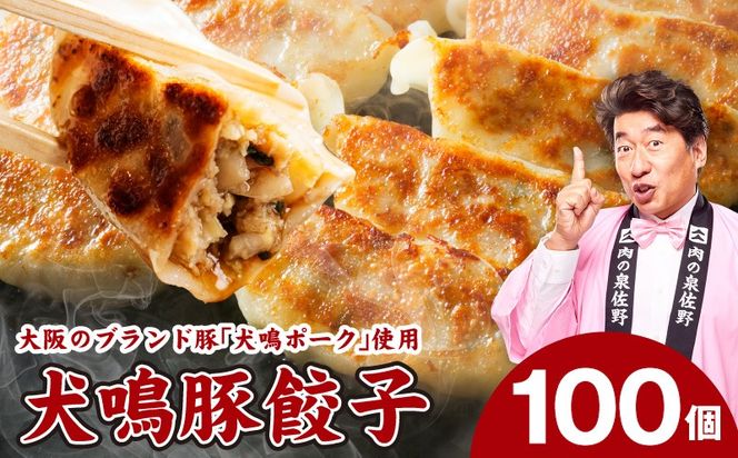 G5633 犬鳴豚餃子 100個【国産 豚肉 ぶたにく 犬鳴ポーク 焼くだけ 人気 総菜 冷凍】