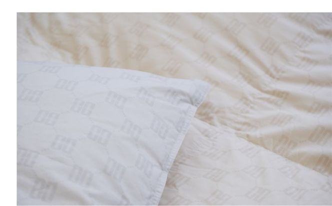 シングルサイズ羽毛掛けふとん　ダックス　寝具　羽毛　ダウン　布団　ふとん　羽毛布団　羽毛ふとん　ダウン布団　ダウンふとん　DK521122-20