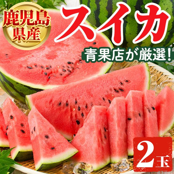 ＜先行予約受付中！2026年6月中旬以降順次発送予定＞鹿児島県産 スイカ(2玉) 国産 果物 スイカ すいか 西瓜 ジュース スムージー 祭ばやし 縞王 紅まくら 黒小玉スイカ 期間限定【松永青果】akn053-31