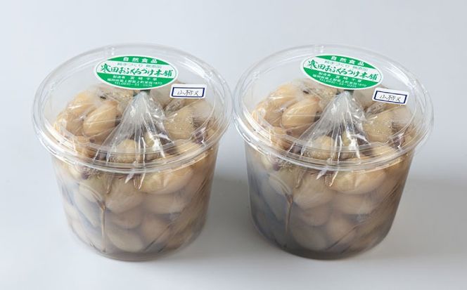 らっきょう 1.5kg（山椒）　《築上町》【寒田おふくろ漬本舗】[ABDO004]