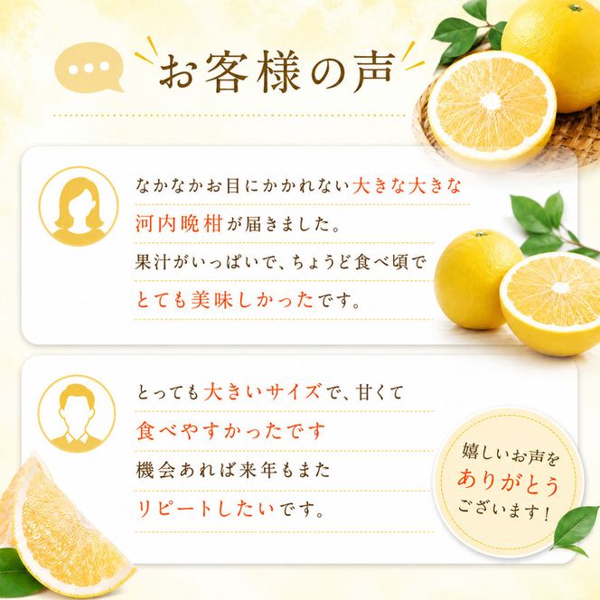 【先行予約：2027年4月上旬～発送】訳あり 河内晩柑 大玉 7kg +傷み保証1kg 8000円 みかん かわちばんかん わけあり 愛南ゴールド あいなん ゴールド 美生柑 文旦 グレープフルーツ 和製 家庭用 産地直送 国産 農家直送 期間限定 数量限定 特産品 ゼリー ジュース 人気 限定 さわやか 甘い フルーツ 果物 柑橘 蜜柑 規格外 塚岡農園 愛南町 愛媛県