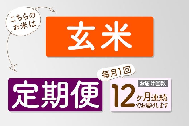 【玄米】＜令和7年産＞ 《定期便12ヶ月》秋田県産 あきたこまち 匠 20kg (5kg×4袋)×12回 20キロ お米 |02_snk-020812s
