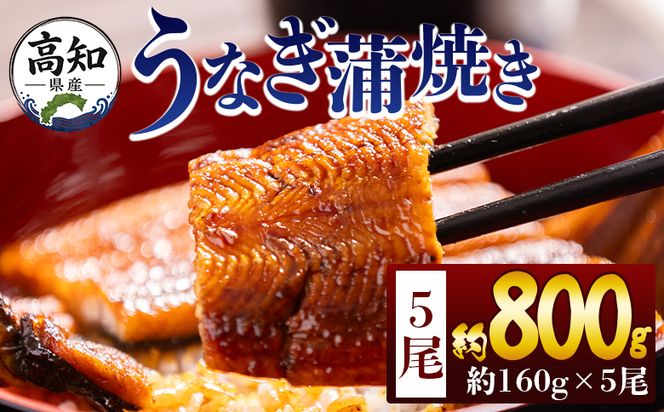 うなぎ 高知県産蒲焼きうなぎ １６０ｇ ５尾 計８００ｇ fb-0155