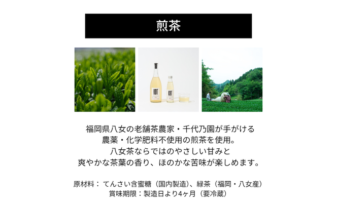 発酵飲料コンブチャ【KBT】煎茶720ml｜健康 美容 腸内環境 免疫 添加物不使用 国内製造
