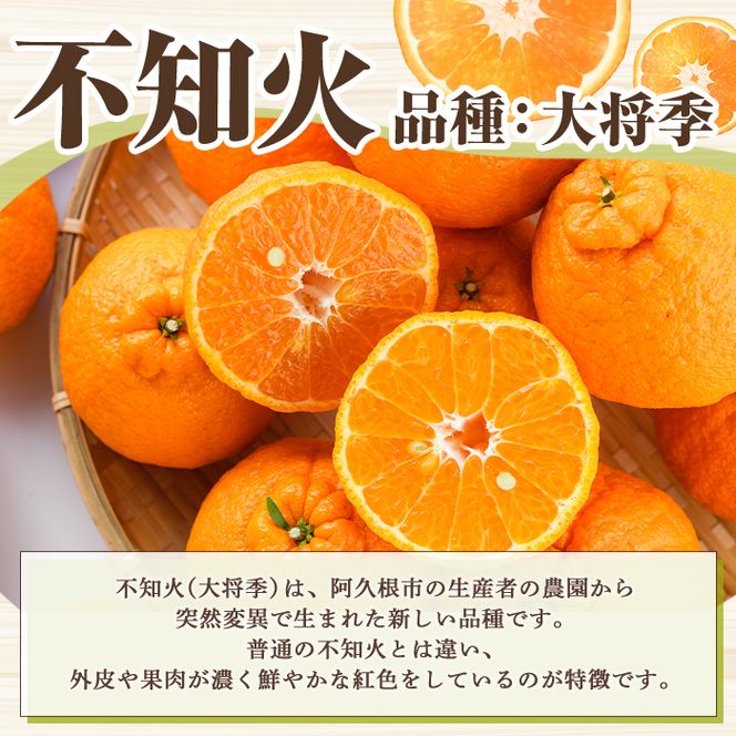 ＜先行予約受付中！2027年3月上旬以降順次発送予定＞ ＼テレビで紹介されました！／訳あり！露地栽培の不知火(約4kg：大将季) 国産 不知火 しらぬい 柑橘 果物 フルーツ デザート 露地 果実 期間限定 数量限定【古田果樹園】akn093-07
