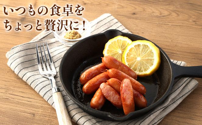 えびの高原 ロングサイズウインナー 176g×6パック 合計 1056g 豚肉 牛肉 人気 おかず お弁当 おつまみ 総菜 冷蔵 加工品 焼肉 ギフト 九州 宮崎県 えびの市 送料無料