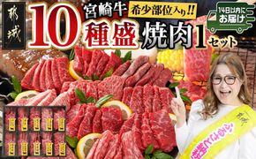 宮崎牛食べ比べ10種盛り焼肉セット≪みやこんじょ快速便≫_17-3102-R_(都城市) 都城産 宮崎牛 A4ランク 焼肉 セット 内モモ カタ トンビ ランプ ラムシン マルシン カメノコ イチボ マルカワ ミスジorトモサンカク 10種類 贈答用 14日以内にお届け  ギャル曽根さんおすすめの牛肉返礼品