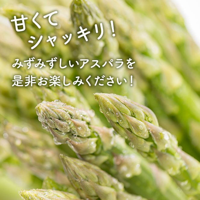 【2026年春配送】北海道南富良野町 アスパラ 1kg MLサイズ 混合 トマト農家 鳥羽農園の作る 新鮮 野菜 産地直送 甘い ジューシー ふるさと納税 送料無料