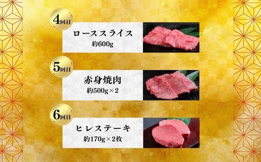 飛騨牛いろいろ定期便 毎月お届け全6回 サーロイン お肉 牛肉 ステーキ 焼肉 バーベキュー ※離島への配送不可