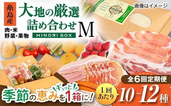 【全6回定期便】糸島産 肉 米 野菜 果物 厳選詰め合わせ MINORI BOX Mサイズ 糸島市 / emma.Inc / 米 肉 野菜 果物 詰め合わせ[AOP013]