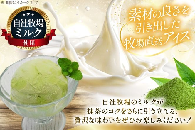 テレビで紹介！ アイス ジェラート 抹茶 2L ファミリーサイズ ジャンボサイズ [岩瀬牧場 北海道 砂川市 12260962] 冷凍 アイスクリーム 詰め合わせ スイーツ