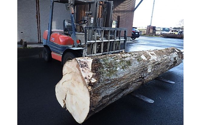 榧（かや）のまな板【特大】 322032_DV014