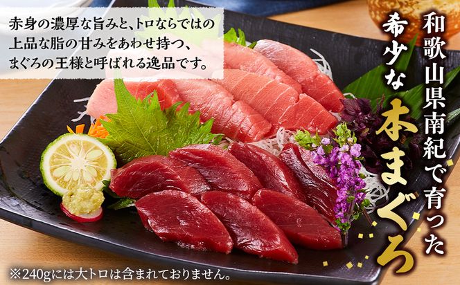 本マグロ（養殖）トロ＆赤身セット 240g［KS11］ 303446_BA1001