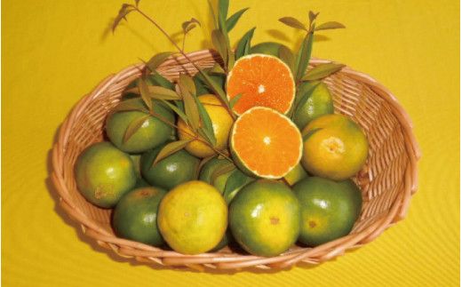 ≪秀品≫和歌山由良町産 由良早生みかん 約3kg サイズおまかせ【sml107C】