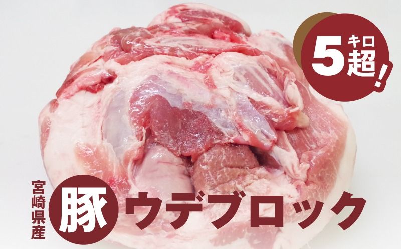 [宮崎県産豚ウデブロック5kg超! K16_0014_10 国産豚肉 ウデ肉 かたまり肉 5キロ 冷凍 大容量 ブロック肉 塊肉 大きい お好みにカットできる 届いたらご自宅でカット 送料無料