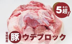 ＜宮崎県産豚ウデブロック５kg超! K16_0014_10 国産豚肉 ウデ肉 かたまり肉 5キロ 冷凍 大容量 ブロック肉 塊肉 大きい お好みにカットできる 届いたらご自宅でカット 送料無料