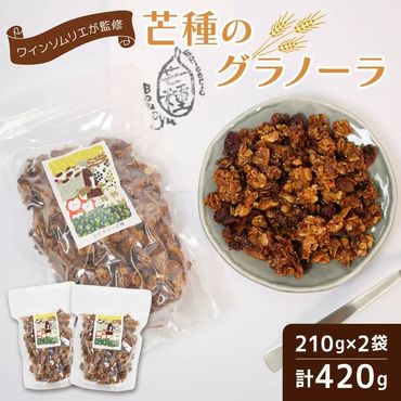 グラノーラ 手作り 210g×2個 計420g 国産 オーガニック 有機 ドライフルーツ フルーツ ナッツ ワイン おつまみ 果物 レーズン くるみ 朝ごはん おやつ ギフト 静岡県 藤枝市