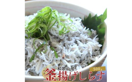 紀州和歌山湯浅産 釜揚げしらす 500g(100g×5) ※冷凍発送 シラス 釜揚げシラス 海産 海の幸 魚 さかな【uot786A】