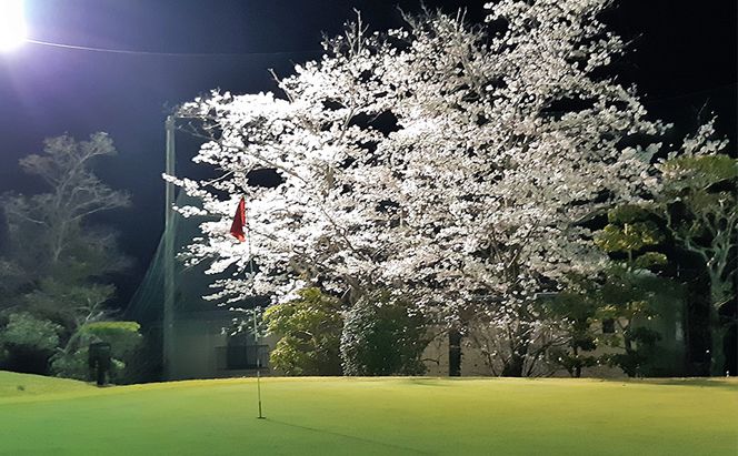 ゴルフ ショートホール 18H ペア ご利用券 × うなぎ お食事券 (10,000円分) セット 赤磐市 コラボ 企画 みのるゴルフセンター山陽 味心逆瀬川 岡山県