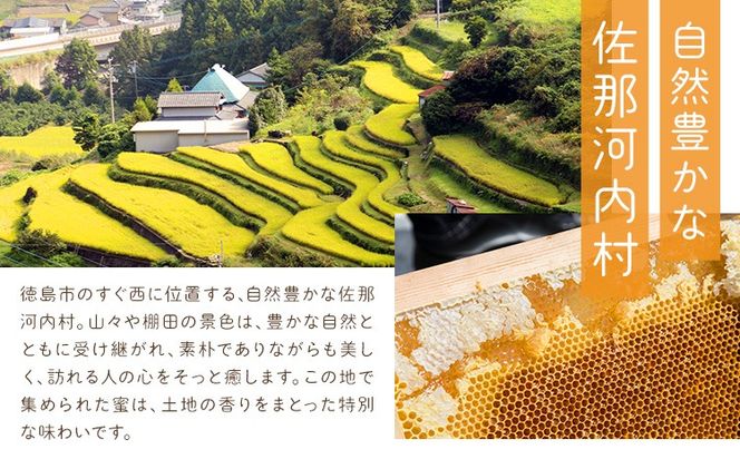 【CF】けんちゃんちのはちみつ 選べる 200g 300g 460g 730g《30日以内に出荷予定（土日祝除く）》ふるさと納税 はちみつ ハチミツ 蜂蜜 国産蜂蜜 天然蜜蜂 徳島県 佐那河内村 送料無料---tsm_mkf1_30d_25_6500_200g---