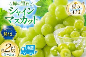 【2026年発送】 シャインマスカット 先行予約 頬張る幸福感 ～緑の宝石・シャインマスカット～ 2kg 以上 (4～5房) [REGALO 山梨県 韮崎市 20745475] シャイン マスカット ブドウ ぶどう 葡萄 フルーツ 果物 くだもの 4房 〜 5房 2キロ 山梨 山梨県産 先行受付