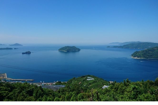 【先行受付】【数量限定】【家庭用】河内晩柑（生果）8kg（2026年5月中旬頃より順次発送） IKTQ008