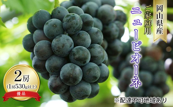 ぶどう 2026年 先行予約 ご家庭用 ニュー ピオーネ 優品 2房入り（1房 530g以上 露地栽培） ブドウ 葡萄  岡山県産 国産 フルーツ 果物 岡山の葡萄 