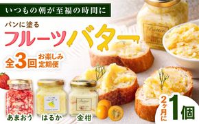 【全3回定期便/2ヶ月に1回】お楽しみ定期便 フルーツバター大1個 糸島市 / 糸島正キ ジャム クリーム 果物[AQA065] バター フルーツバター フルーツ 果物 いちご あまおう みかん 金柑