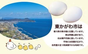 東かがわ市のちょこっと食卓応援品「鶏卵Mサイズ（6個×2P）R7年産虹のきらめき（精米）2kg」
