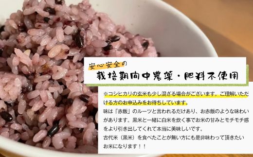 古代米（黒米）　希少！栽培期間中農薬・肥料不使用 1kg（500g×2PC）