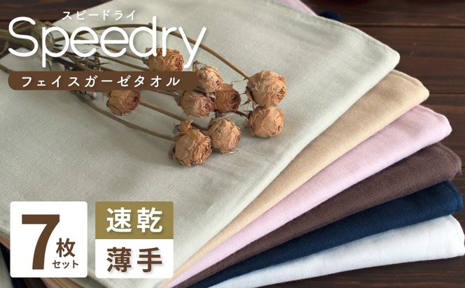 y{򍲖szG2071 yXs[hzXs[hC K[[tFCX^I7Zbg