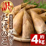 ＜先行予約受付中！2026年12月上旬以降順次発送予定＞訳あり！鹿児島県産 早掘りたけのこ(約4kg) 国産 野菜 たけのこ タケノコ 筍 旬 煮物 水煮 天ぷら つくだ煮【松永青果】akn053-35