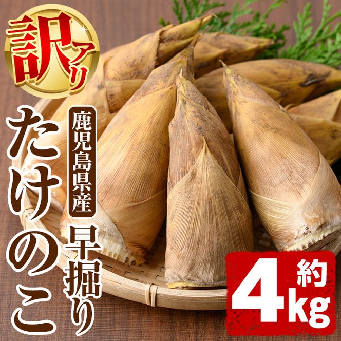 ＜先行予約受付中！2026年12月上旬以降順次発送予定＞訳あり！鹿児島県産 早掘りたけのこ(約4kg) 国産 野菜 たけのこ タケノコ 筍 旬 煮物 水煮 天ぷら つくだ煮【松永青果】akn053-35